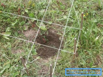 Pregledamo konture buduće strukture sa nizom Pregledamo konture buduće strukture sa nizom