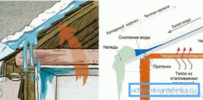 2797 Efekat toplog krova