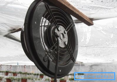 Električna auto-ventilacija staklenika to radi sami Električna auto-ventilacija staklenika to radi sami