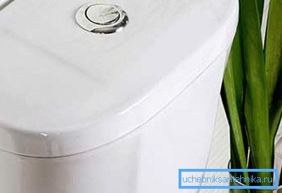 Faience u toaletu treba da bude suv Faience u toaletu treba da bude suv