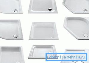 Oblik paleta može biti veoma različit Oblik paleta može biti veoma različit