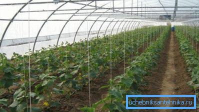 Korišćen sistem grejanja je odabran na osnovu površine agrotehničke strukture. Korišćen sistem grejanja je odabran na osnovu površine agrotehničke strukture.