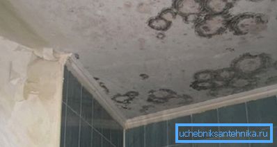 Na slici - posledice nedostatka ventilacije (verovatno, miris je prikladan) Na slici - posledice nedostatka ventilacije (verovatno, miris je prikladan)