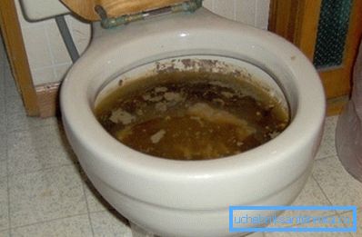 Nema vilje problema nego zaglavljeni u toaletu Nema vilje problema nego zaglavljeni u toaletu