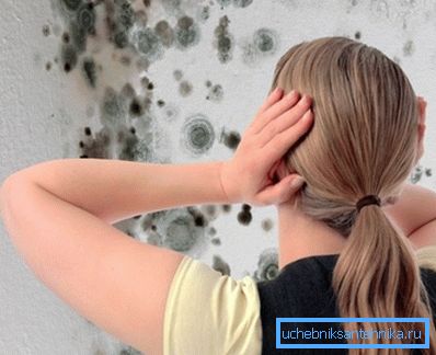 Mould je tipična kupaonica života. Mould je tipična kupaonica života.