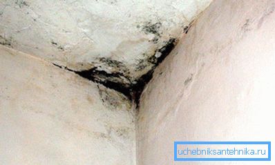 Kalup je siguran znak nepravilne ventilacije Kalup je siguran znak nepravilne ventilacije