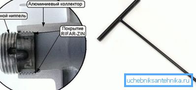 Primjer bradavice Primjer bradavice