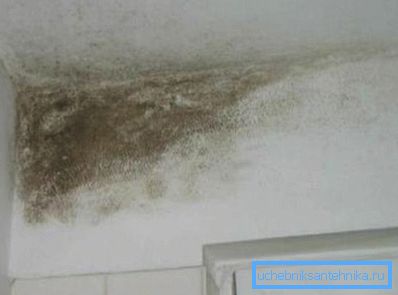 Umnožavanje mulja rezultat je lošeg cirkulacije vazduha u stanu. Umnožavanje mulja rezultat je lošeg cirkulacije vazduha u stanu.