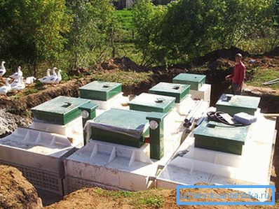 Septic Bioxy-1 Septic Bioxy-1