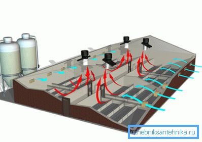 Ventilacijska šema stočnog kompleksa Ventilacijska šema stočnog kompleksa