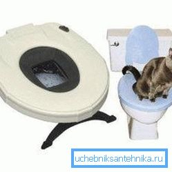 Posebno WC školjka Posebno WC školjka