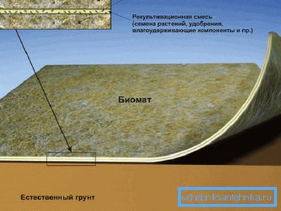 1207 Biomatska struktura