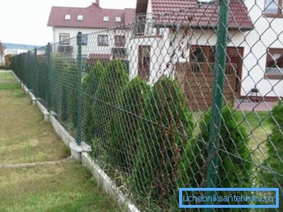 U ovom primjeru male cijevi se koriste kao nosači za sakupljanje. U ovom primjeru male cijevi se koriste kao nosači za sakupljanje.